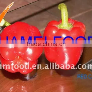 Fresh Chilli thumbnail-1