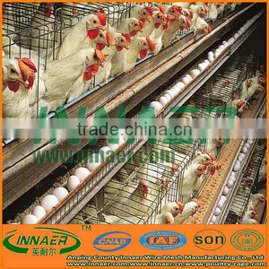 High Quality Broiler Chicken Cage ( Manufacturer ) thumbnail-1