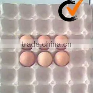 Paper Pulp Egg Tray With Low Price thumbnail-1