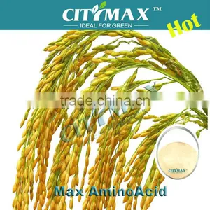 Agricultural Amino Acid Powder thumbnail-1