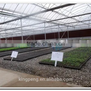 PC Hollow Sheet Greenhouse thumbnail-1