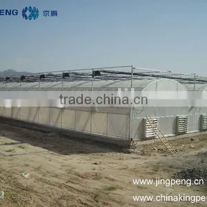 Vegetable Growing Greenhouse thumbnail-1