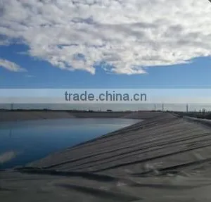 Hdpe Geomembrane Liner thumbnail-3