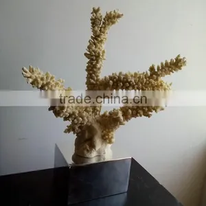 Resin Coralal Decoration thumbnail-2