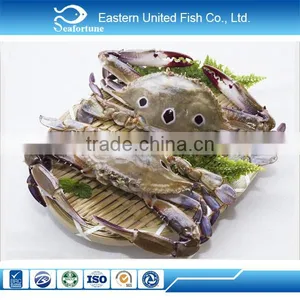 Wholesale Seafood Frozen Three Spot Crab thumbnail-2