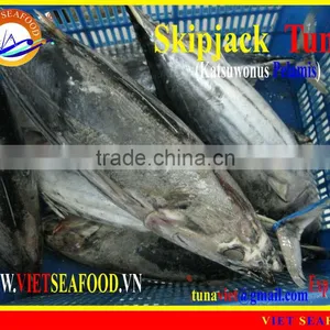 FROZEN W/R SKIPJACK TUNA thumbnail-1