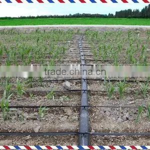 Plastice Drip Tape for Irrigation thumbnail-2