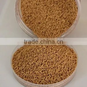 Sweeter Taste of Ginger Tea With Brown Cane Sugar thumbnail-1
