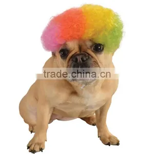 Pet Clown Halloween Costume Rainbow Dog Afro Wig S/M thumbnail-1