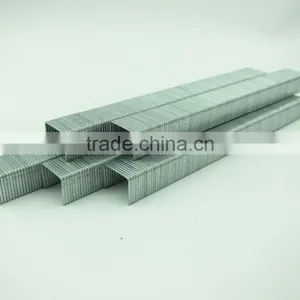 21GA 8005 Galvanized Staple thumbnail-2