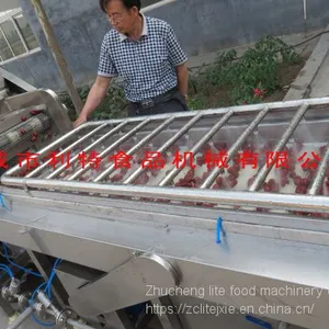 Jujube Cleaning Machine, Jujube Cleaning Line, Jujube Processing Equipment thumbnail-2