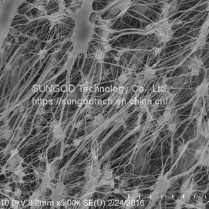 PTFE Membrane thumbnail-1
