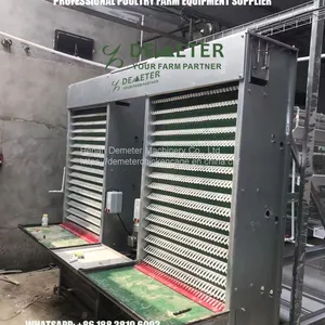 Layer Chicken Cage Poultry Farming in Nigeria thumbnail-1