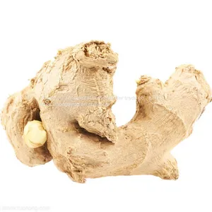 In 2021, With Fresh Ginger thumbnail-3
