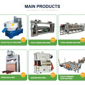 Linyi Sin San Lin Smart Machinery Co., Ltd company overview - view 1 thumbnail