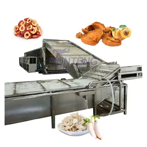 Automatic Cassava Radish Ginger Onion Konjac Cleaning Slicing and Drying Production Line EPC thumbnail-1