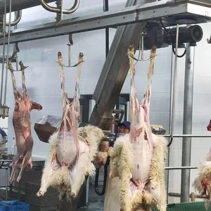 Full Automatic Hydraulic Sheep Slaughter Equipment Custom Layout Complete Goat Abattoir Line For Africa Bangladesh Somalia thumbnail-2
