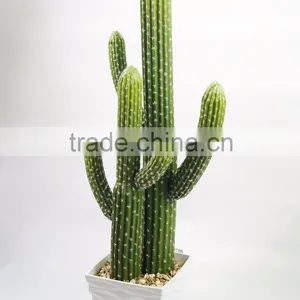 Wholesale Artificial Cactus And Succulent Artificial Bonsai Succulent Plants thumbnail-5