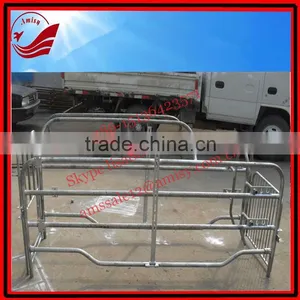 Pig Single Corral for Pig Farm thumbnail-1