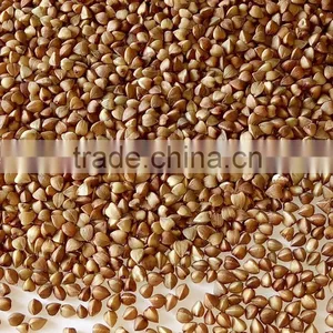 Brown Color and Dried Style Roasted Buckwheat Groats thumbnail-4