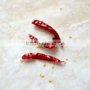 India for Distributor S17 s4 Red Chili thumbnail-2