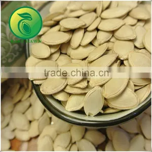 Shine Skin Pumpkin Seeds and Kernels thumbnail-2