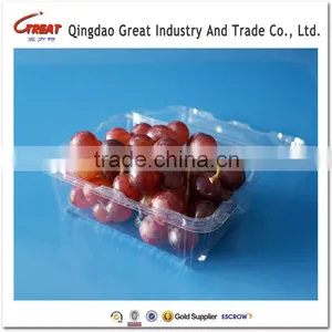 Plastic Fruit Packaging Container Tray Disposable Plastic Blueberry Packaging Container thumbnail-6