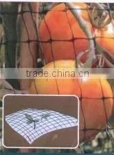 Agriculture Anti Bird Net thumbnail-1