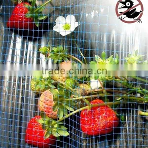 Garden Netting/Plastic Anti Bird Net thumbnail-1