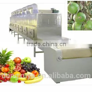 Lemon Slice Microwave Dryer Equipment thumbnail-4
