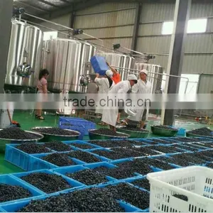 Blueberry Juice Processing Plant thumbnail-1