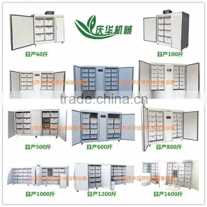 Professional Production of Bean Sprout Machinery Factory thumbnail-2