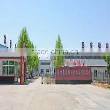 Weifang Tailai Steel Structure Engineering Co., Ltd. company overview - view 2 thumbnail