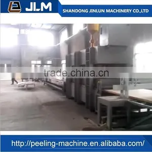 Shandong Jinlun Machinery Roller Type Veneer Drying Machine for Veneers thumbnail-2