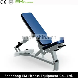 Life Fitness Equipment Roman Chair Back Extension thumbnail-5