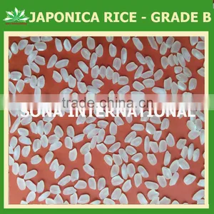 Japonica Rice - BEST RICE - VIETNAMESE RICE - VINARICE.VN thumbnail-1