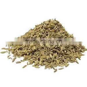 Fennel Seeds thumbnail-1