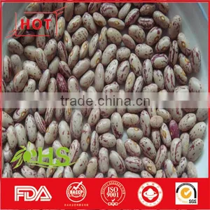 Light Coloured Speckled Kidney Beans for Sale thumbnail-6