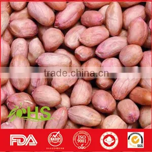 Supply New Crop and High Quality Peanut Kernels thumbnail-5