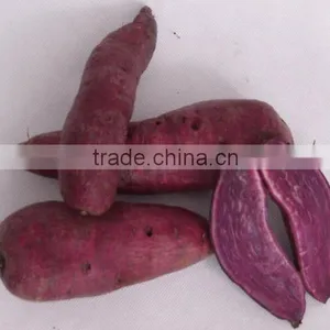 Fresh Sweet Purple Potato/red Skin Potato thumbnail-3