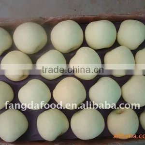 Pommes Golden Delicious/fresh Golden Apple Hot Sale in thumbnail-1