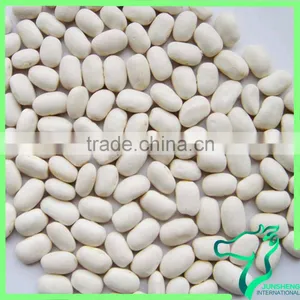 Nutritional Value Of White Kidney Beans Medium Size Square Shape White Kidney Beans thumbnail-1