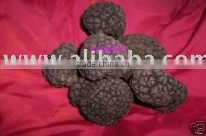 White or Black TRUFFLE From Italy thumbnail-1