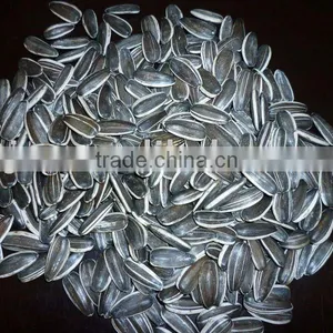 Good Quality Sunflower Seeds 20/64,22/64,24/64 thumbnail-1