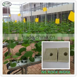 Rockwool Cubes & Slabs for Propagation and Hydroponic Systems thumbnail-3