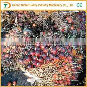 1TPH Palm Fruit Extract Machinery thumbnail-3