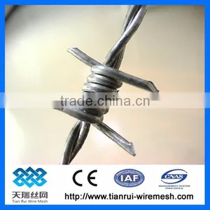 High Quality Different Types of Galvanized Barbed Wire thumbnail-1