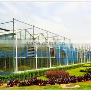 Glass Greenhouses thumbnail-1