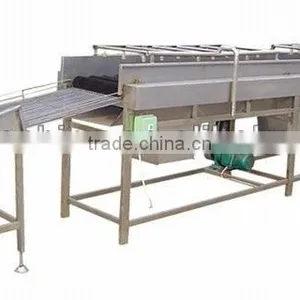 Potato Washing Machine thumbnail-1