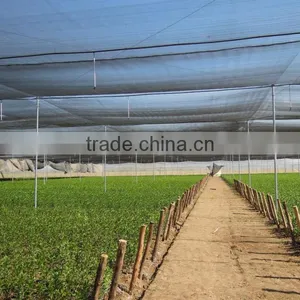 Shade House for Africa Used Greenhouse thumbnail-1